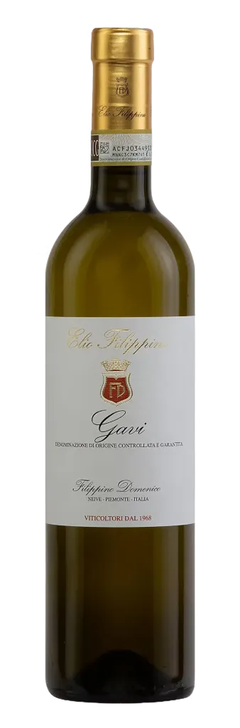 [W001099-2025] Elio Filippino Gavi 2025