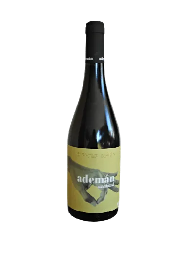 Bodega Y Viñedos Maires "Ademán Carabizal" 2024